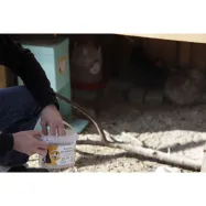 Piileväjauhe Chick'a 1kg
