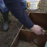 Piileväjauhe Chick'a 1kg