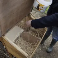Piileväjauhe Chick'a 1kg