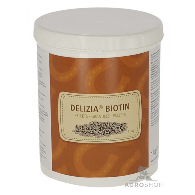 Delizia Biotin 1 kg
