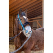 Hippomed AirOne inhalaattori hevosille