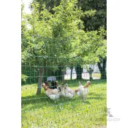 Sähköistettävä aitaverkko PoultryNet kanoille 1,06x50 m jalkatuella