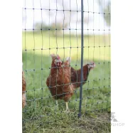 Sähköistettävä verkko PoultryNet Premium 1,06x25m kanoille, 2-piikkinen