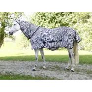 Hyönteisloimi RugBe Zebra