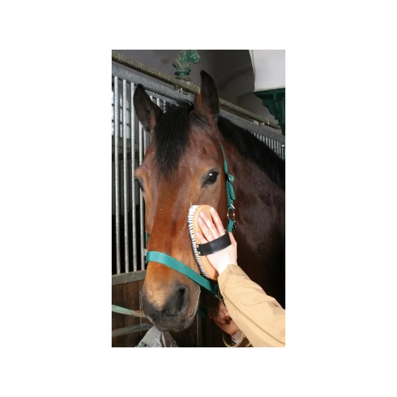 Hevosharja Brush&Co, 22 x 9 cm