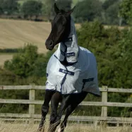 Hevosen hyönteisloimi Bucas Freedom Fly Sheet 115 cm