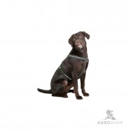 Koiran valjas heijastinnauhalla Xenos 15mmx30-40cm musta/keltainen