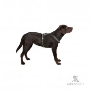 Koiran valjas heijastinnauhalla Xenos 15mmx30-40cm musta/keltainen