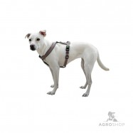 Koiran valjas Xenos 15mm, 30-40cm, harmaa/punainen
