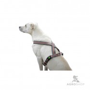 Koiran valjas Xenos 25mm, 50-80cm, harmaa/punainen