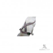 Koiran valjas Xenos 25mm, 50-80cm, harmaa/punainen