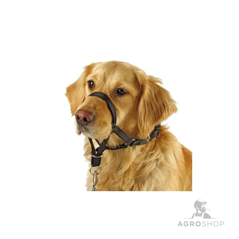 Koulutuspanta Maxi Coach 38 cm