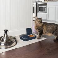 Ajastettava ruokinta-automaatti Digital 2 Meal PetFeeder