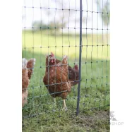 Sähköistettävä kanaverkko PoultryNet Premium 1,22x50m, 2-piikkinen