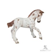 PAPO mallihevonen Appaloosa varsa