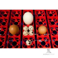 Automaattinen hautomakone Borotto Real49