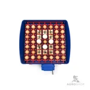 Inkubaattori Borotto Real49 PLUS Automatica Expert