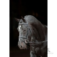 Suitset Bridle Classic, ruskea,