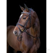 Suitset Bridle Kingston, ruskea