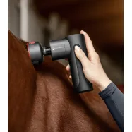 Hierontalaite Pro Massage Gun W-Health & Care