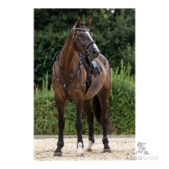 Suitset Clincher Covalliero