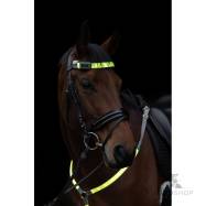 LED-valaistus otsapantaan Covalliero