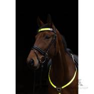 LED-valaistus otsapantaan Covalliero