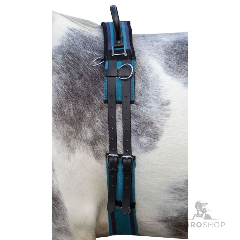Juoksutusvyö Canvas HKM