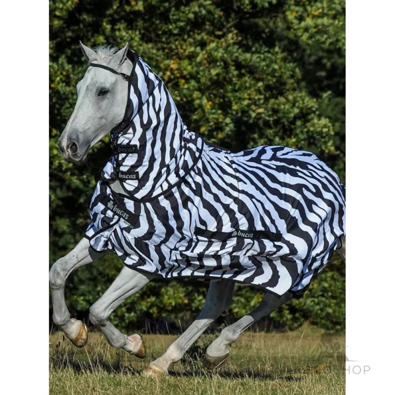 Hyönteisloimi RugBe Zebra