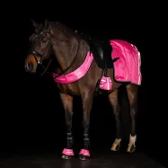 Treeniloimi Reflective Imperial Riding
