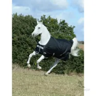 Ulkoloimi Anniversary Turnout 0g 600D Bucas