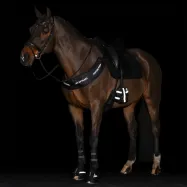 Bootsit Reflective Imperial Riding