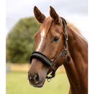 Riimu Elegant Waldhausen