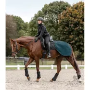 Harjoitusloimi Rain Salzburg 50g Waldhausen
