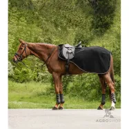 Harjoitusloimi Modern Rose Waldhausen