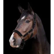 Riimu St.Gallen Waldhausen