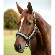 Riimu Soft Touch Waldhausen