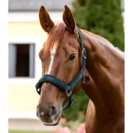 Riimu Soft Touch Waldhausen