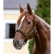 Riimu Athletic Waldhausen