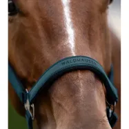 Riimu Athletic Waldhausen