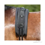 Silan pehmuste Kavalkade