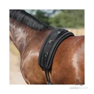 Silan pehmuste Kavalkade