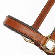 Nahkariimu Cinta Kavalkade