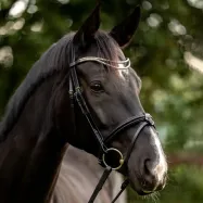 Otsapanta Clincher Duo Kavalkade