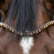 Otsapanta Dazzle Kavalkade