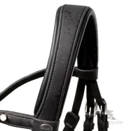 Suitset Cortica Veg Kavalkade