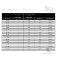 Chapsit Valerius Kavalkade