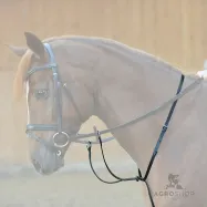 Martingaali Ecoline Kavalkade