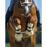 Suojat Compete Faux Fur Kavalkade