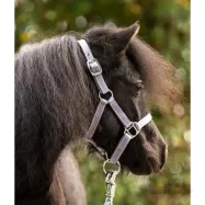 Riimu Shetty Shorty Kavalkade